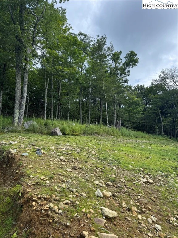 Image number 1 for the current listing