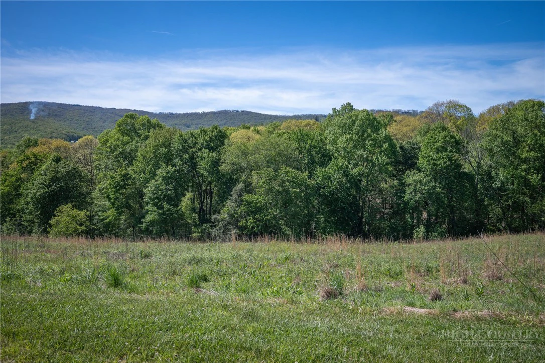 Image number 1 for the current listing