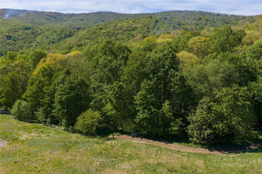 Image number 2 for the current listing