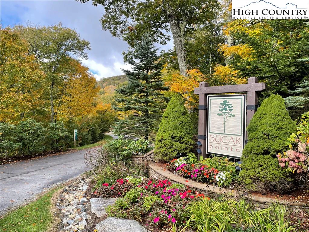 Image number 1 for the current listing