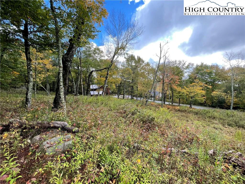 Image number 11 for the current listing