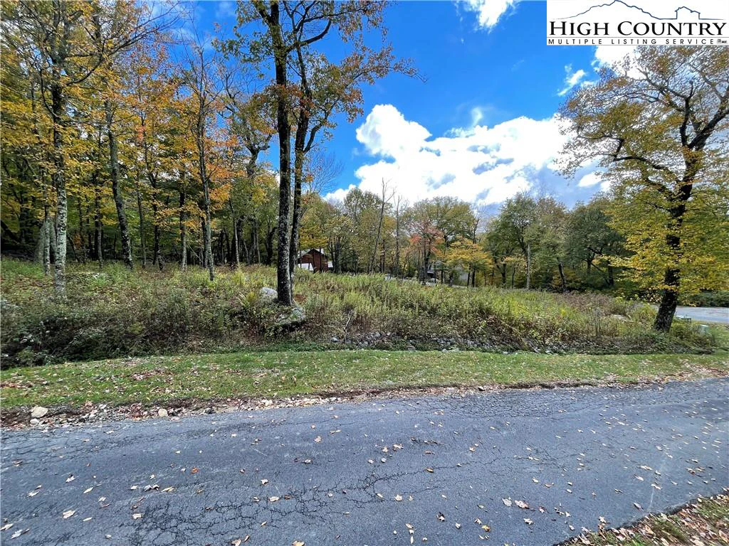 Image number 12 for the current listing