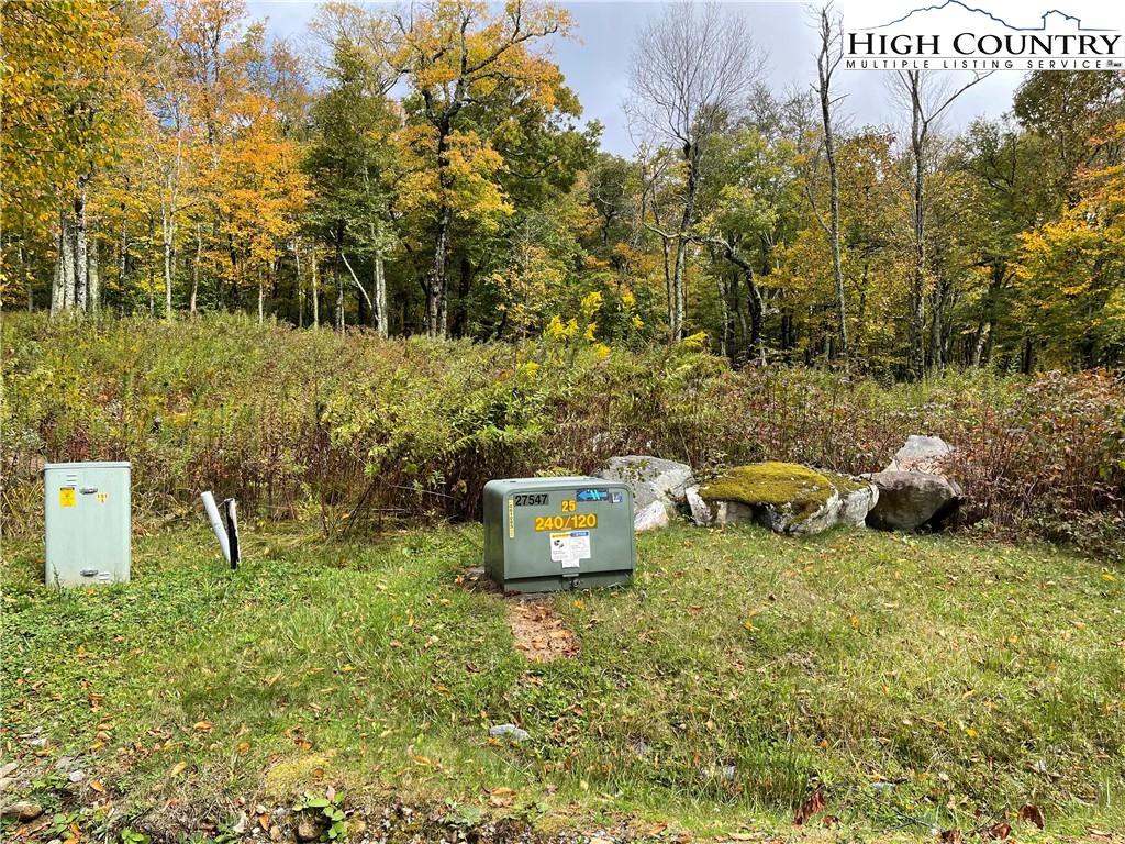 Image number 14 for the current listing