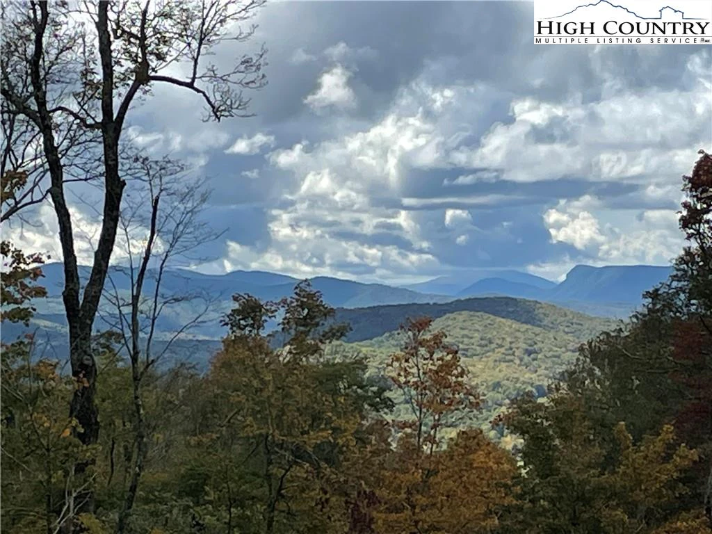 Image number 3 for the current listing