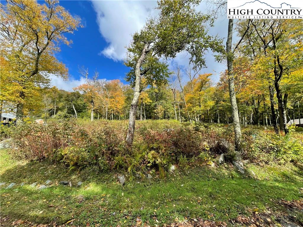 Image number 4 for the current listing