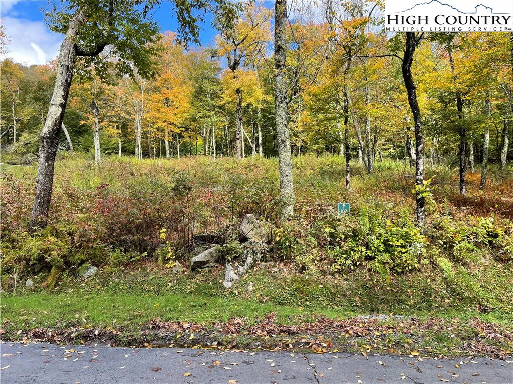Image number 5 for the current listing