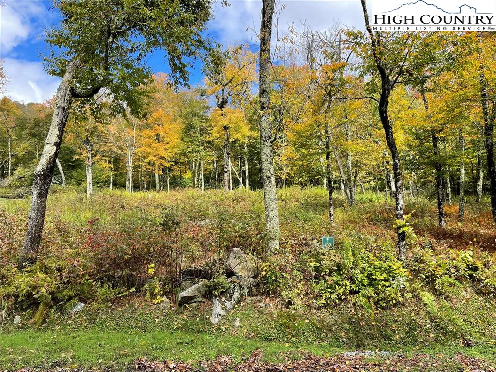 Image number 6 for the current listing