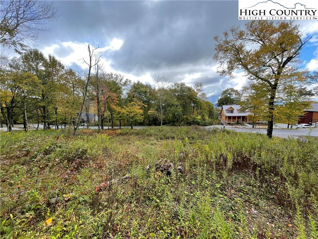 Image number 10 for the current listing