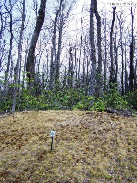 Image number 1 for the current listing