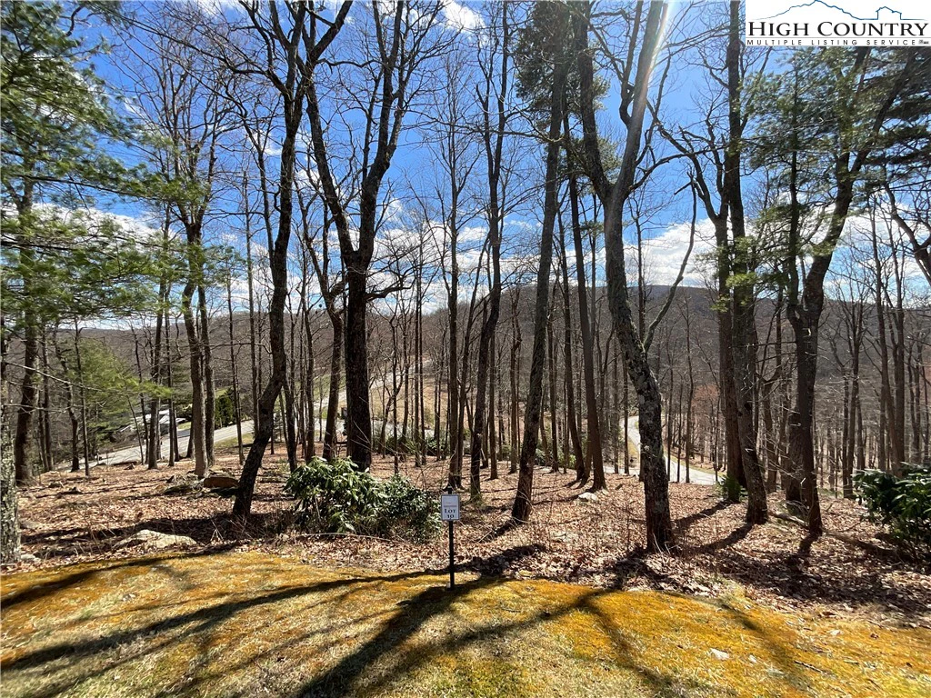 Image number 21 for the current listing