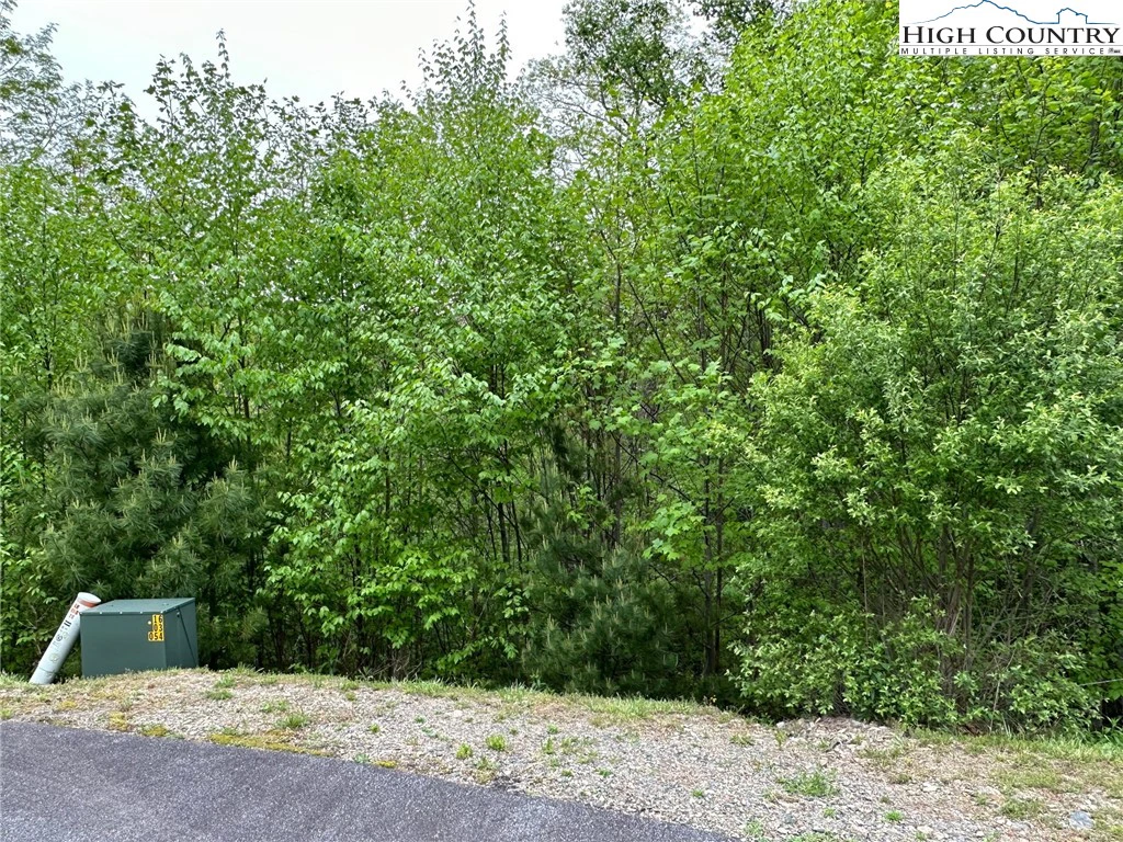 Image number 18 for the current listing