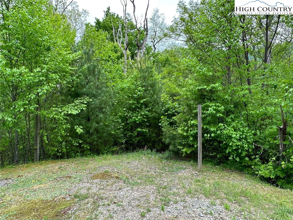 Image number 17 for the current listing
