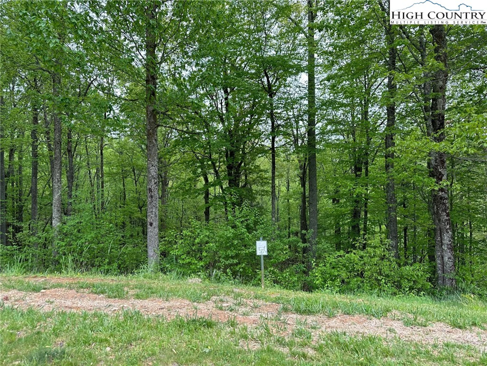 Image number 2 for the current listing