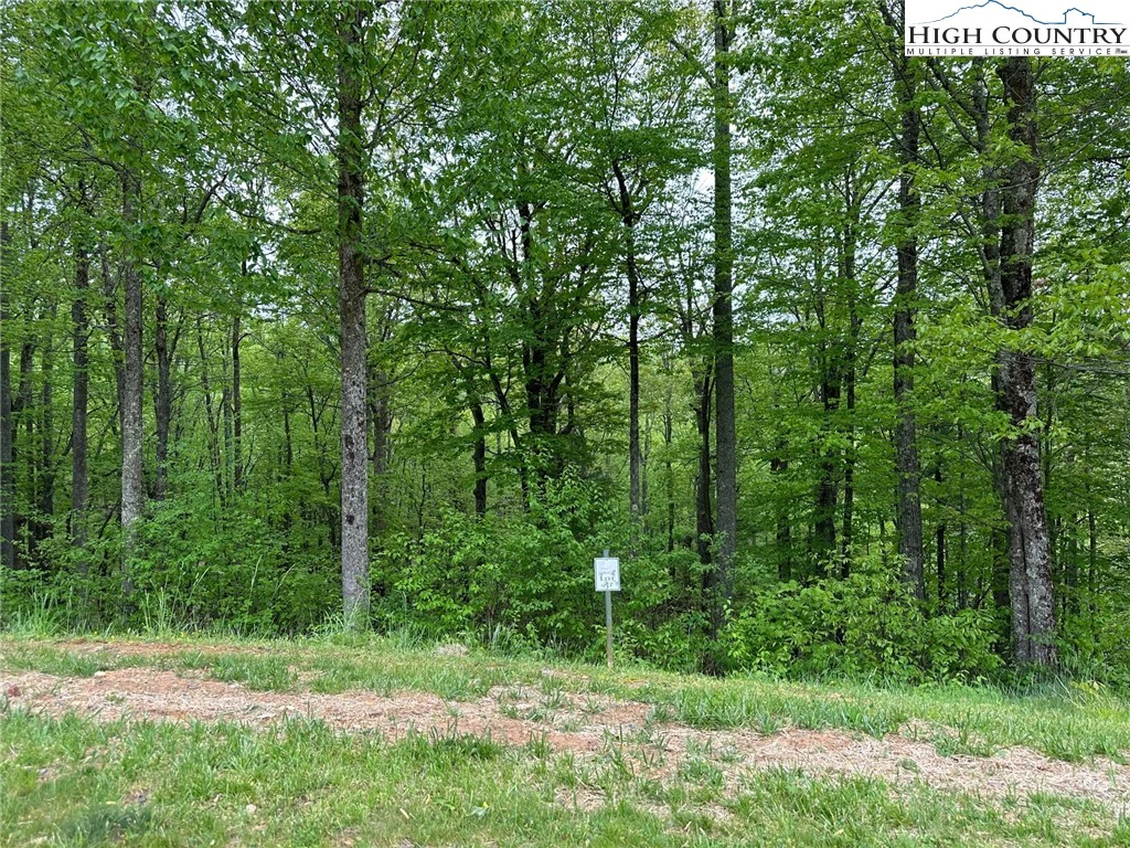 Image number 2 for the current listing