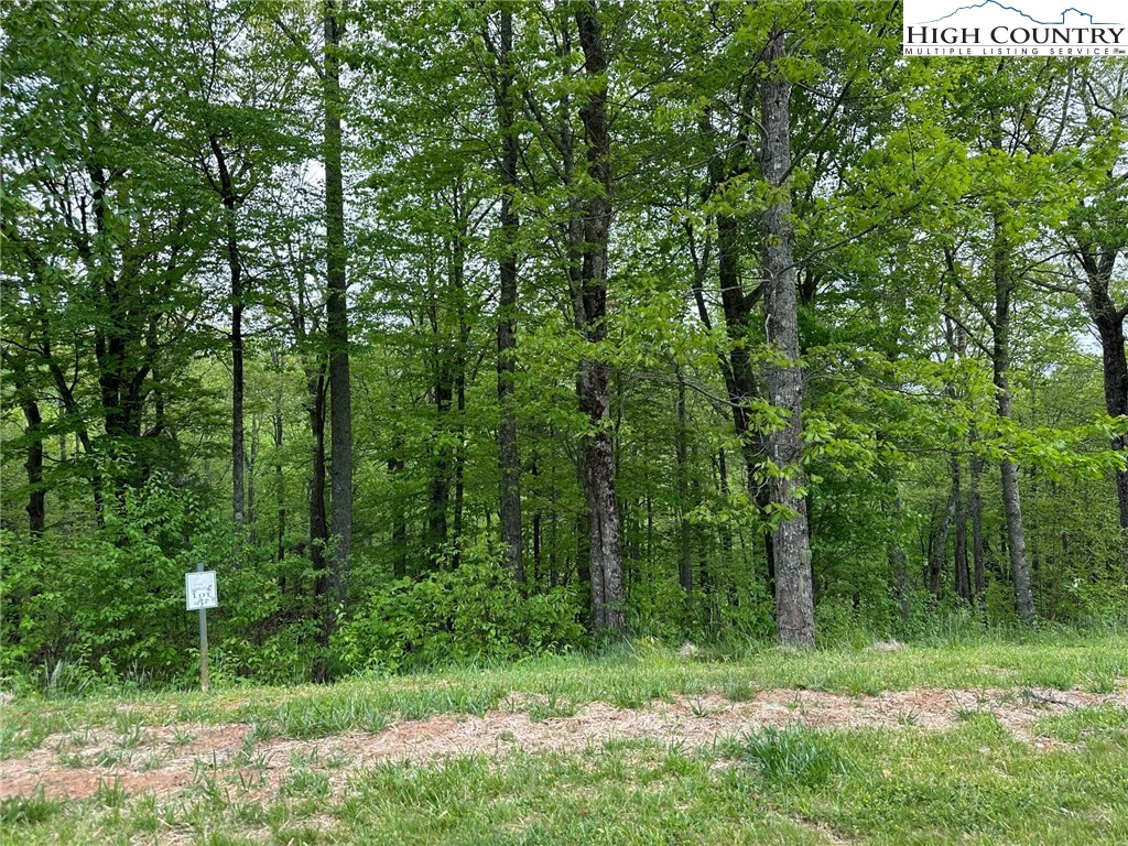 Image number 16 for the current listing