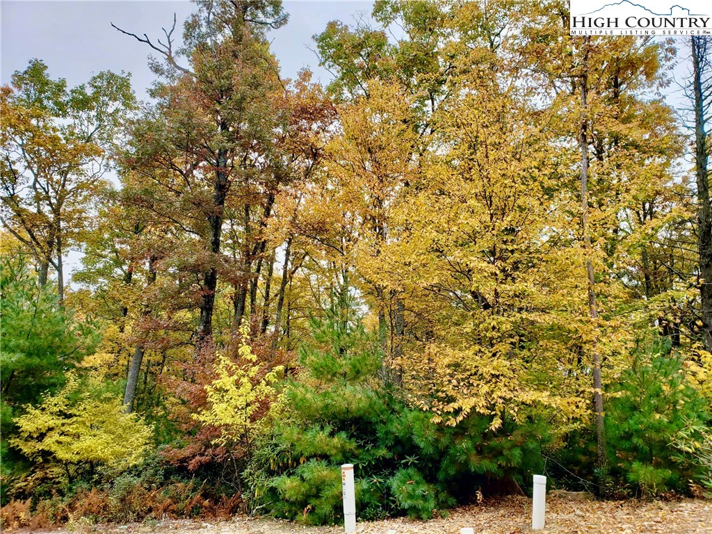 Image number 10 for the current listing