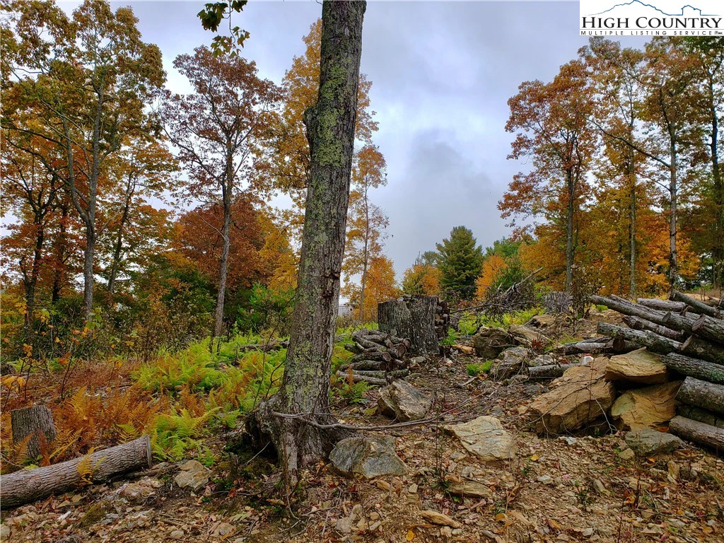 Image number 9 for the current listing