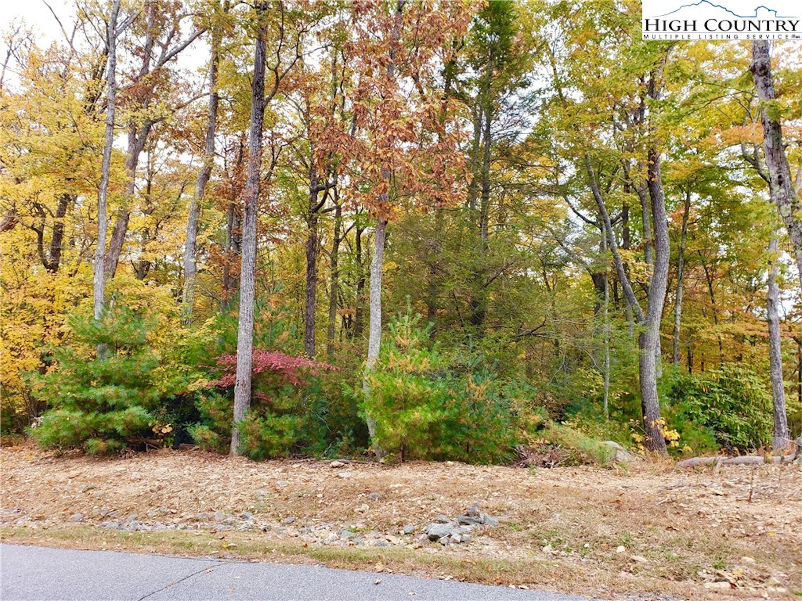 Image number 7 for the current listing