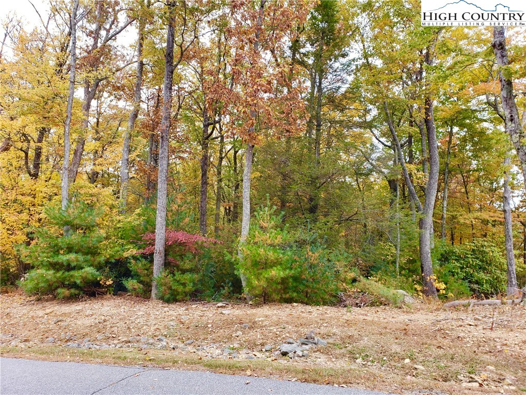 Image number 7 for the current listing