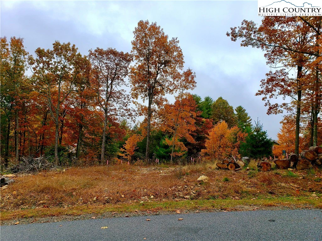 Image number 5 for the current listing