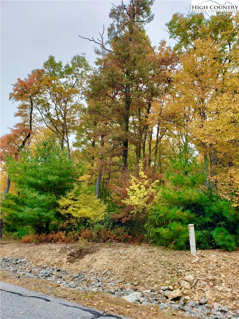 Image number 4 for the current listing