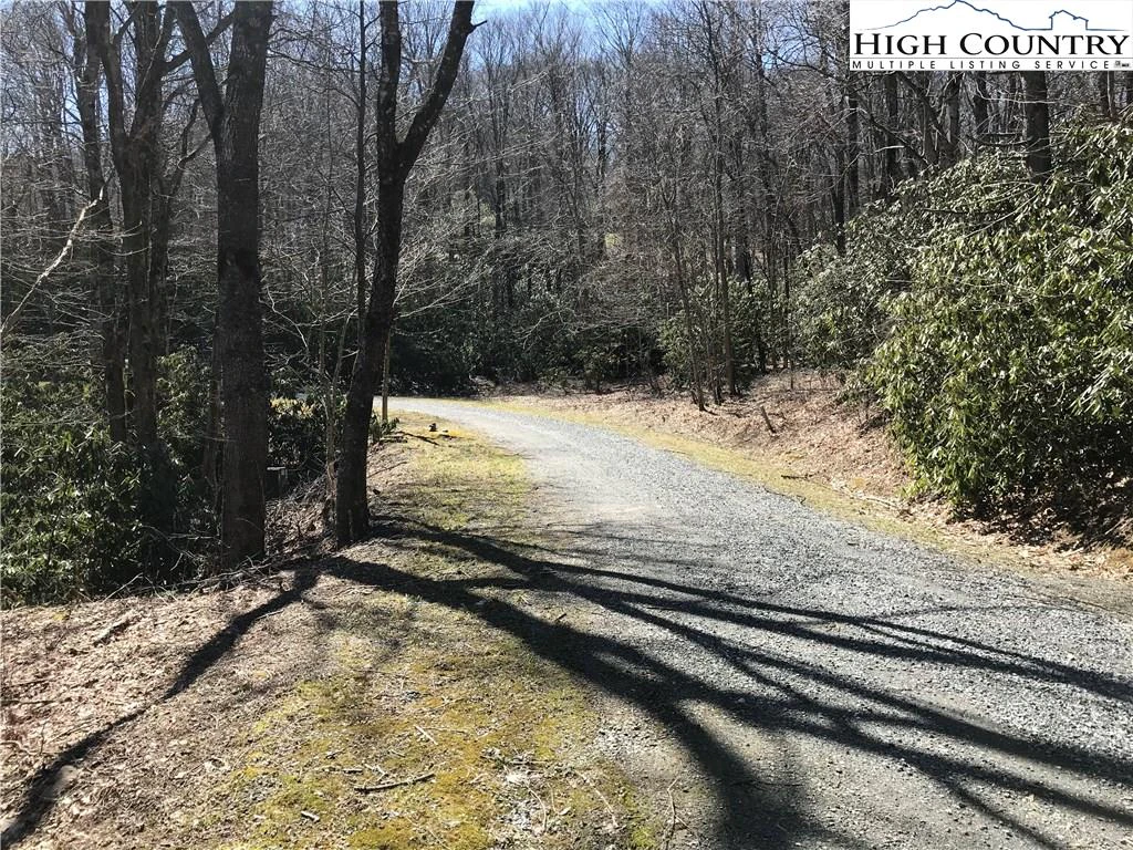 Image number 6 for the current listing