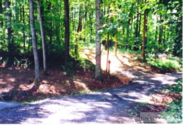 Image number 1 for the current listing