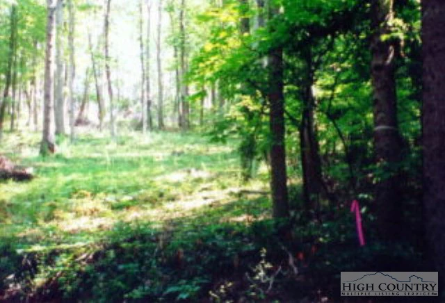 Image number 3 for the current listing
