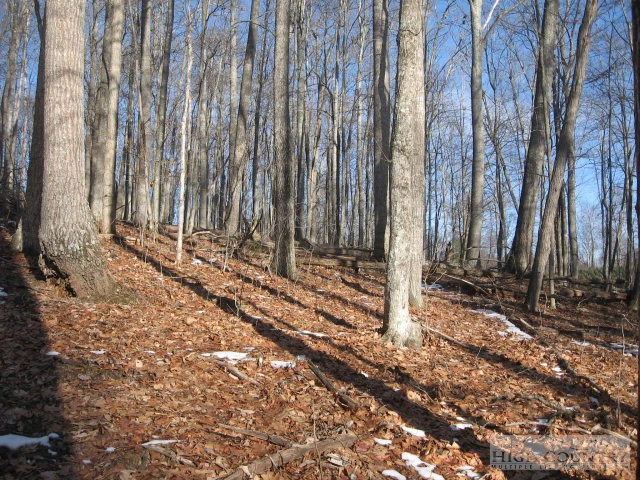 Image number 4 for the current listing