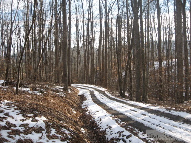 Image number 5 for the current listing