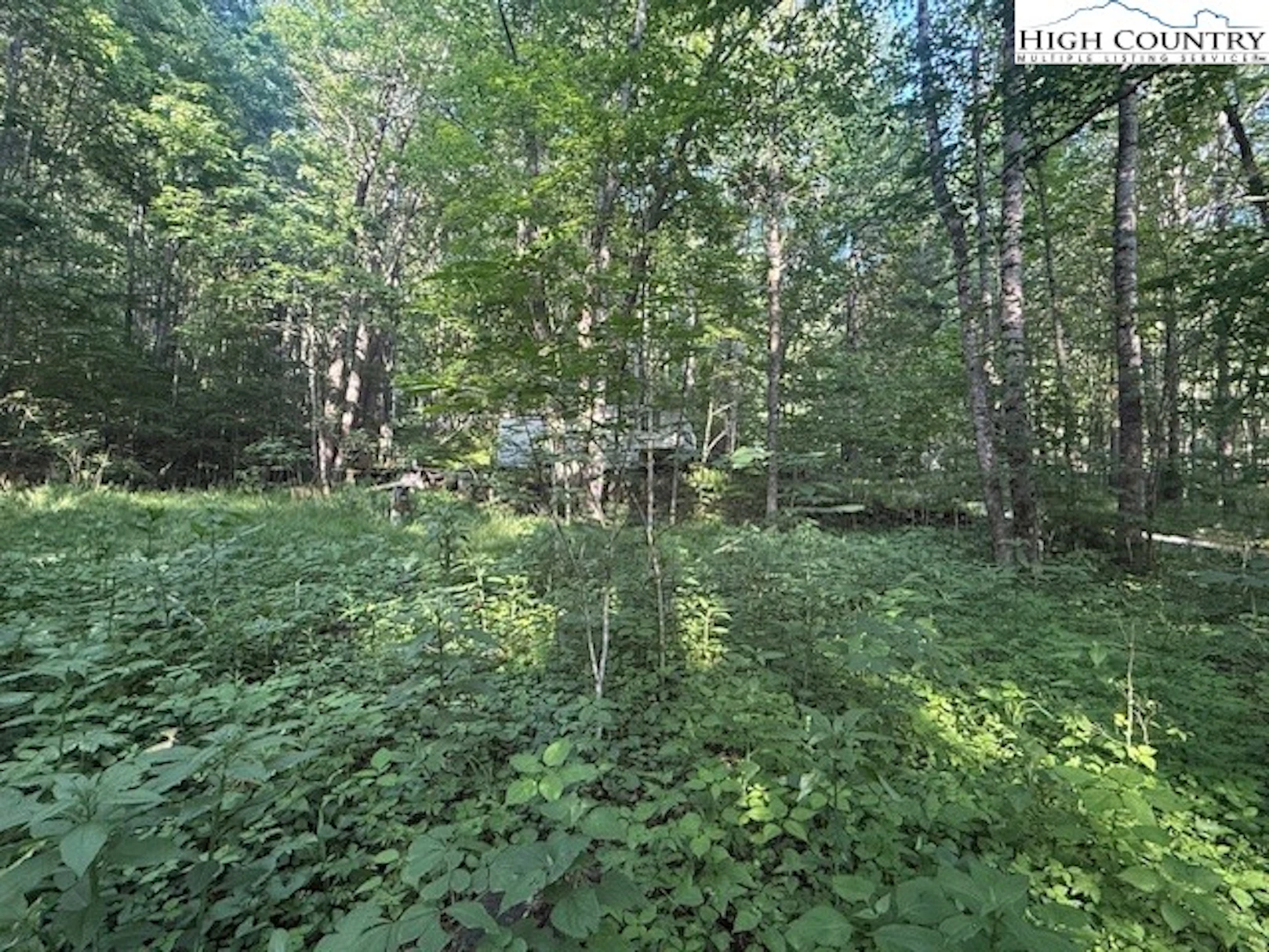 Image number 1 for the current listing