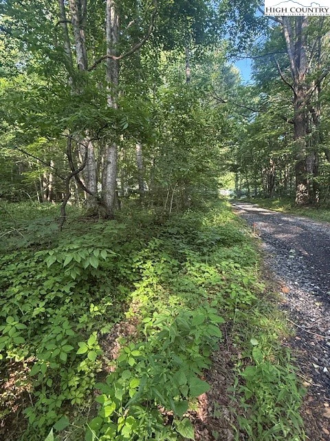 Image number 7 for the current listing