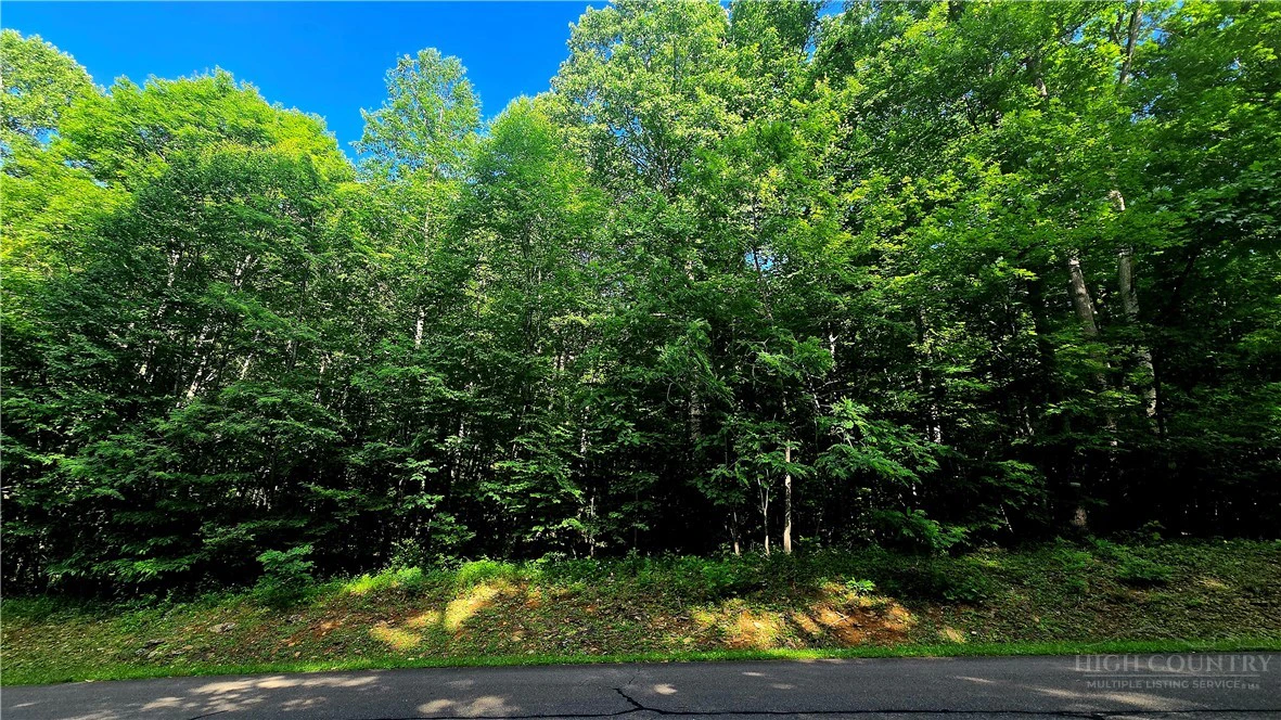 Image number 2 for the current listing