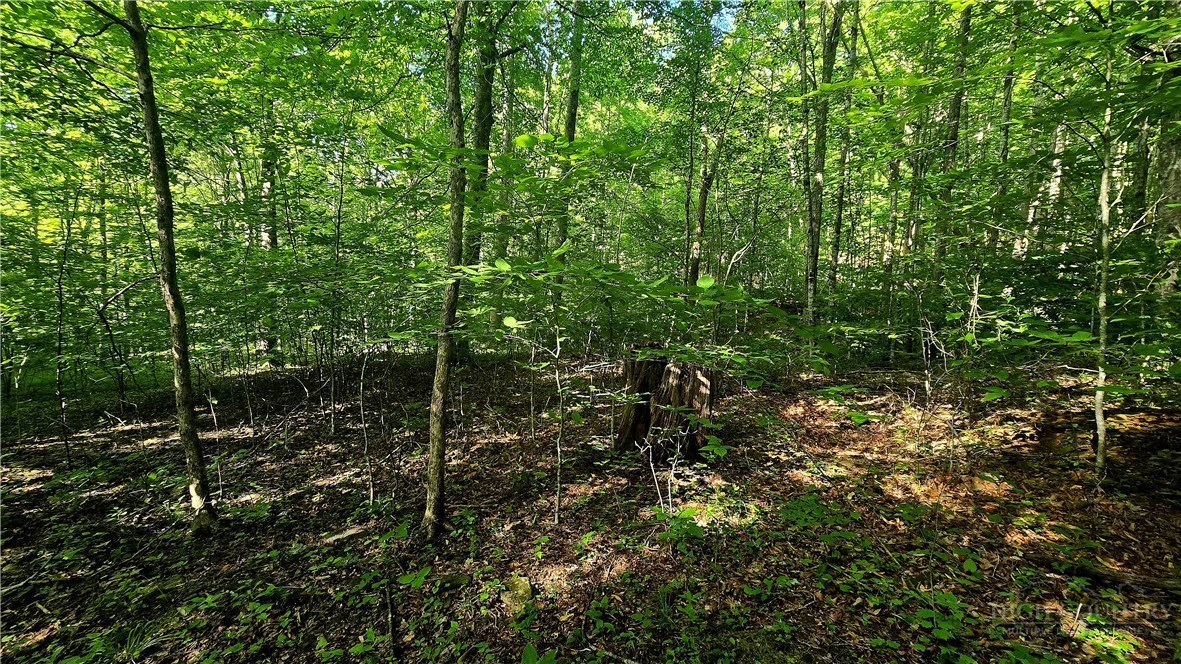 Image number 18 for the current listing