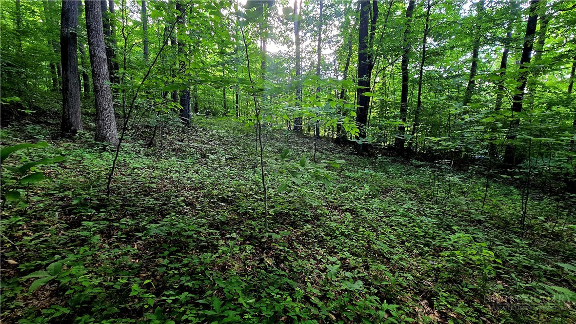 Image number 7 for the current listing