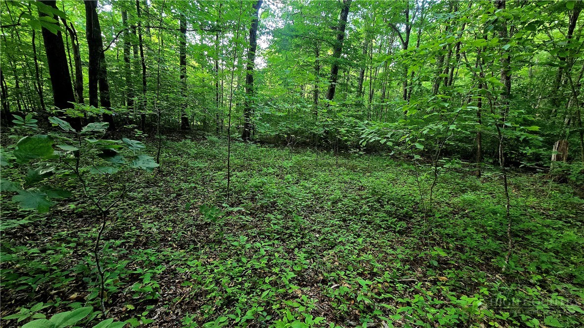 Image number 9 for the current listing