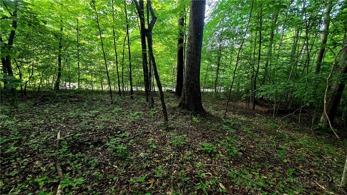 Image number 6 for the current listing