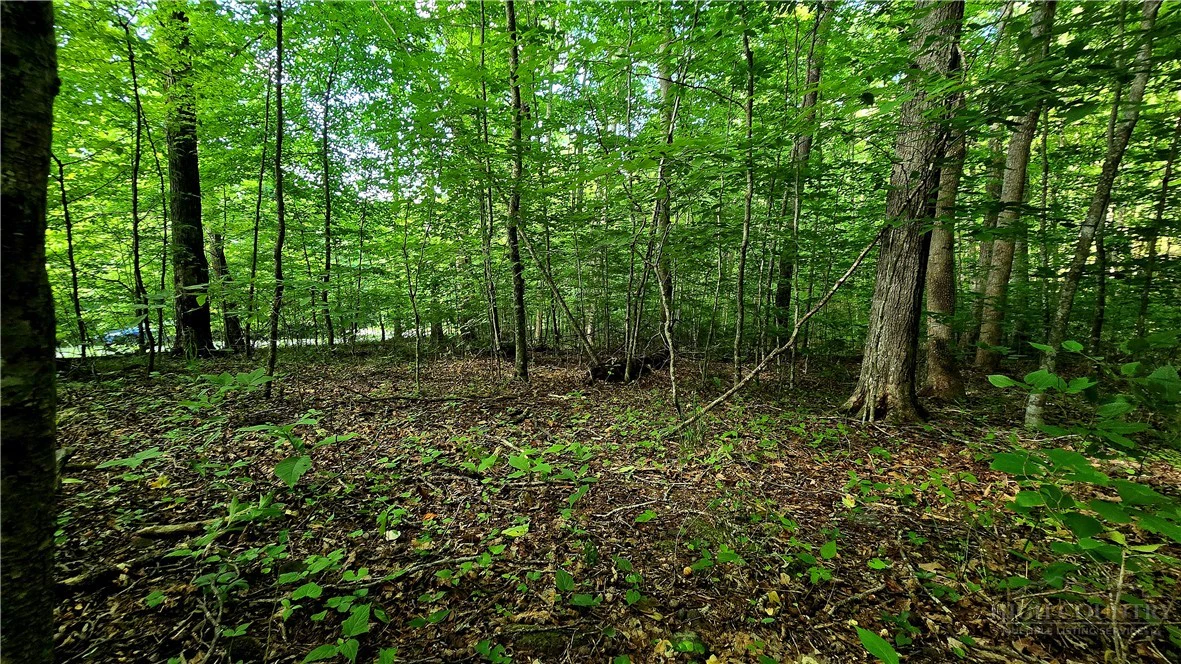 Image number 13 for the current listing