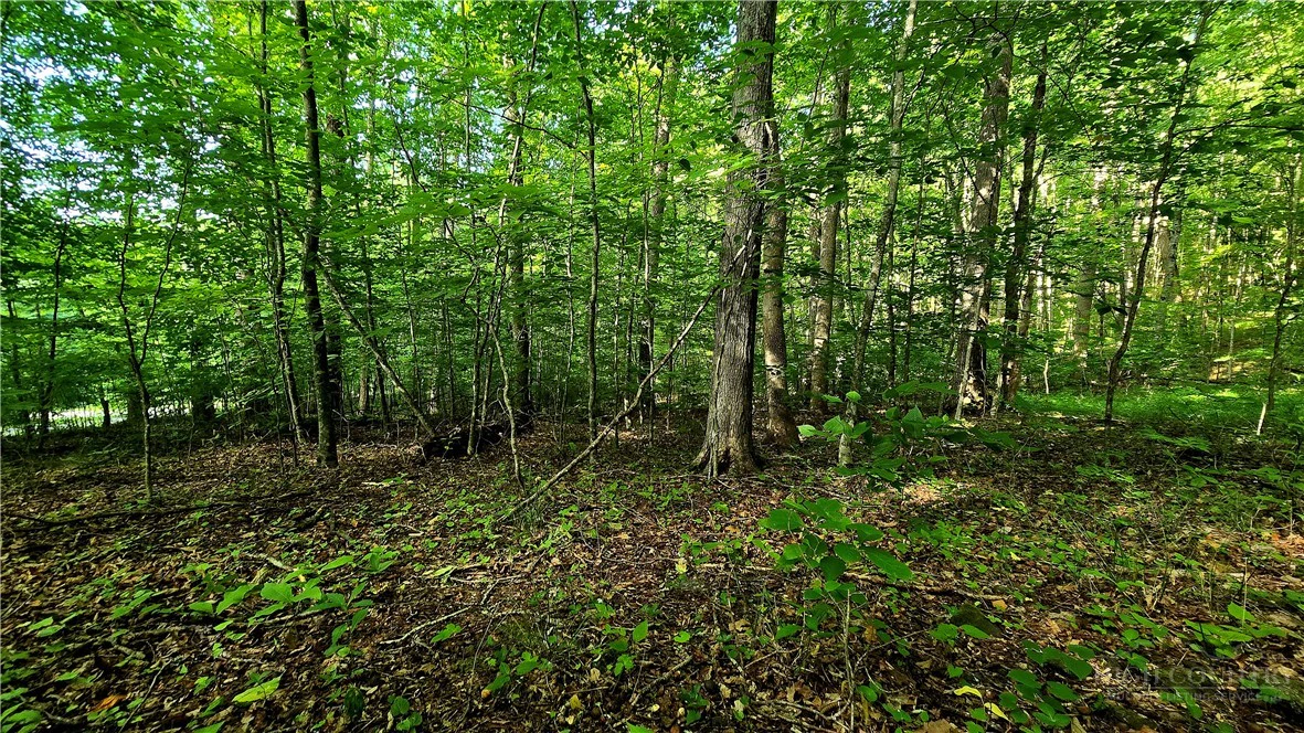 Image number 14 for the current listing