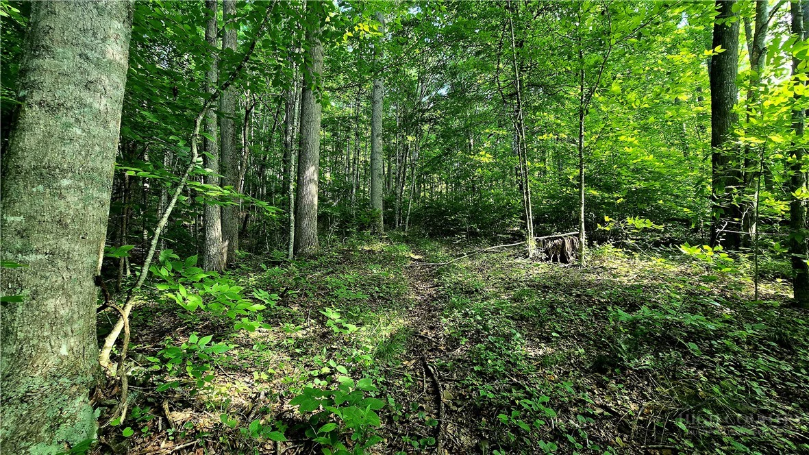 Image number 15 for the current listing