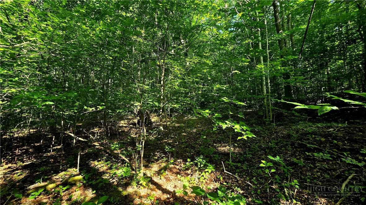 Image number 16 for the current listing