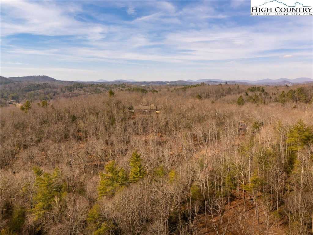 Image number 14 for the current listing