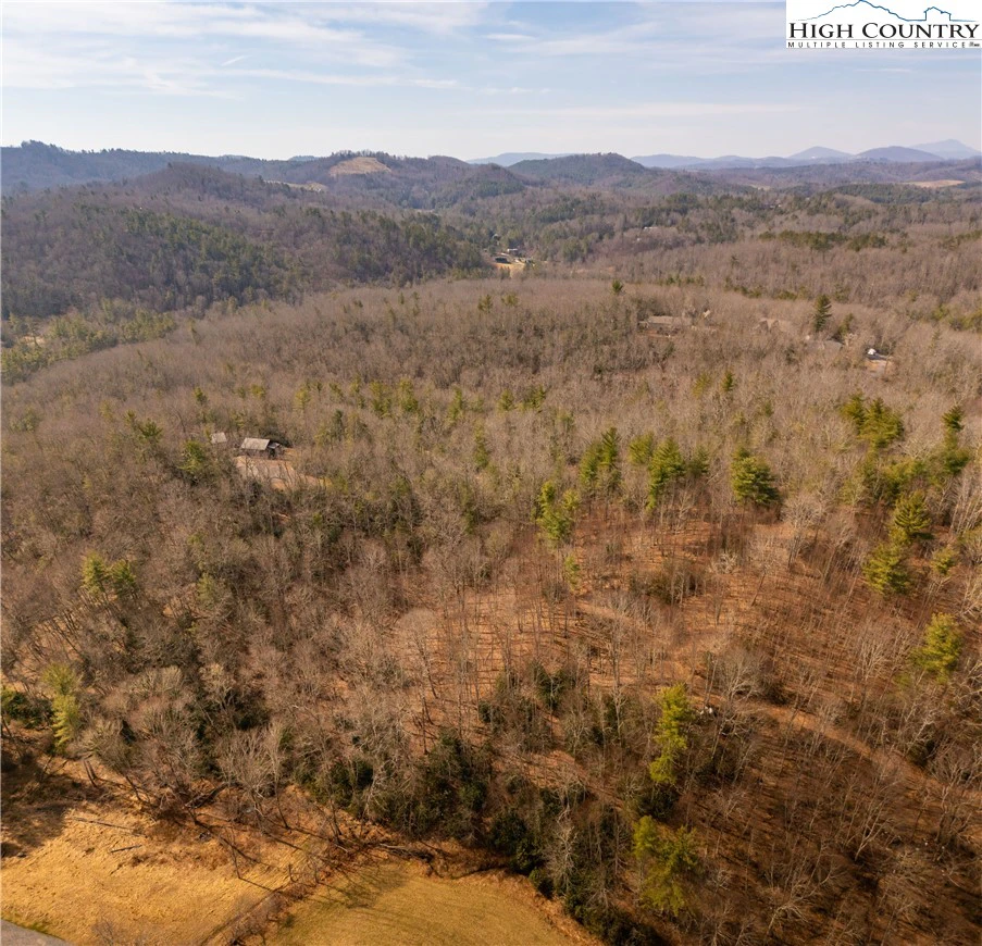 Image number 4 for the current listing
