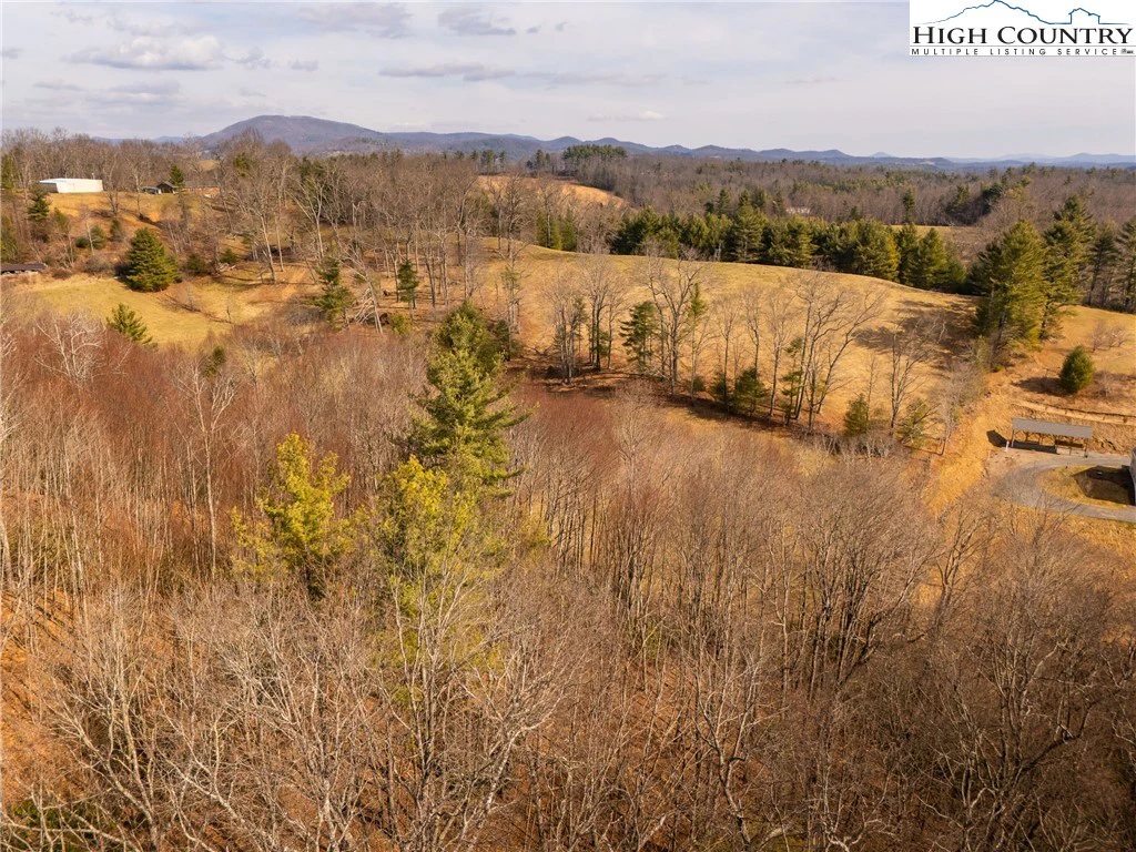 Image number 7 for the current listing
