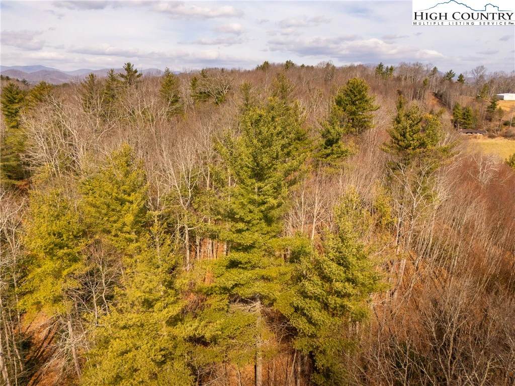 Image number 8 for the current listing