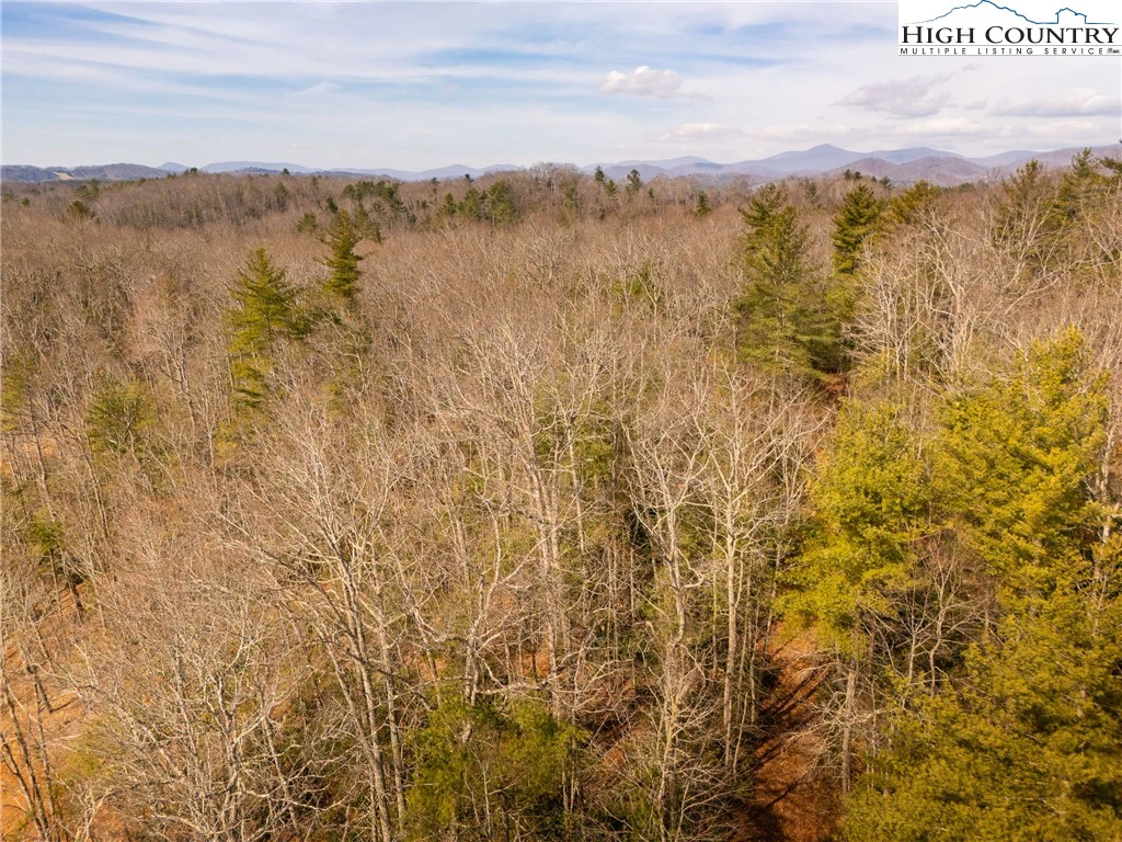 Image number 9 for the current listing