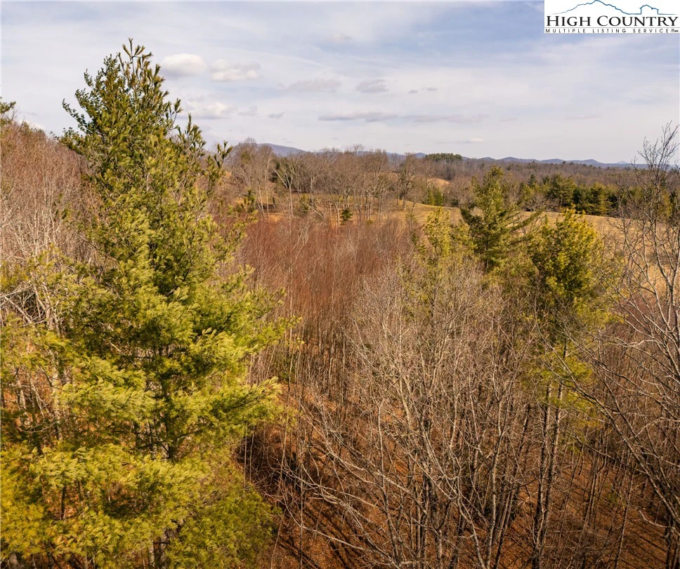 Image number 12 for the current listing
