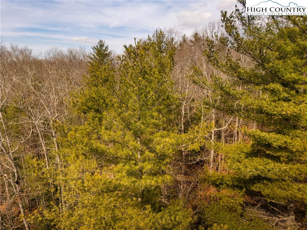 Image number 13 for the current listing