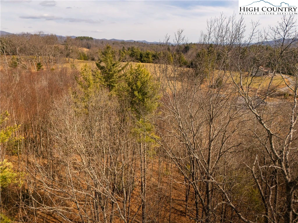 Image number 2 for the current listing