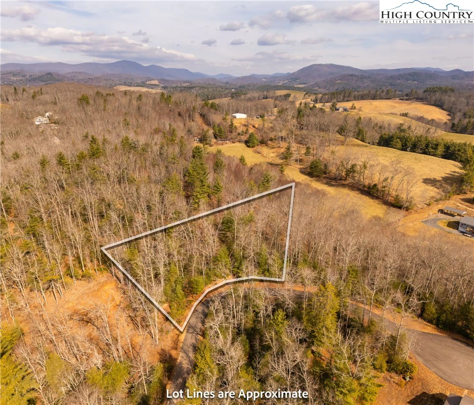 Image number 1 for the current listing